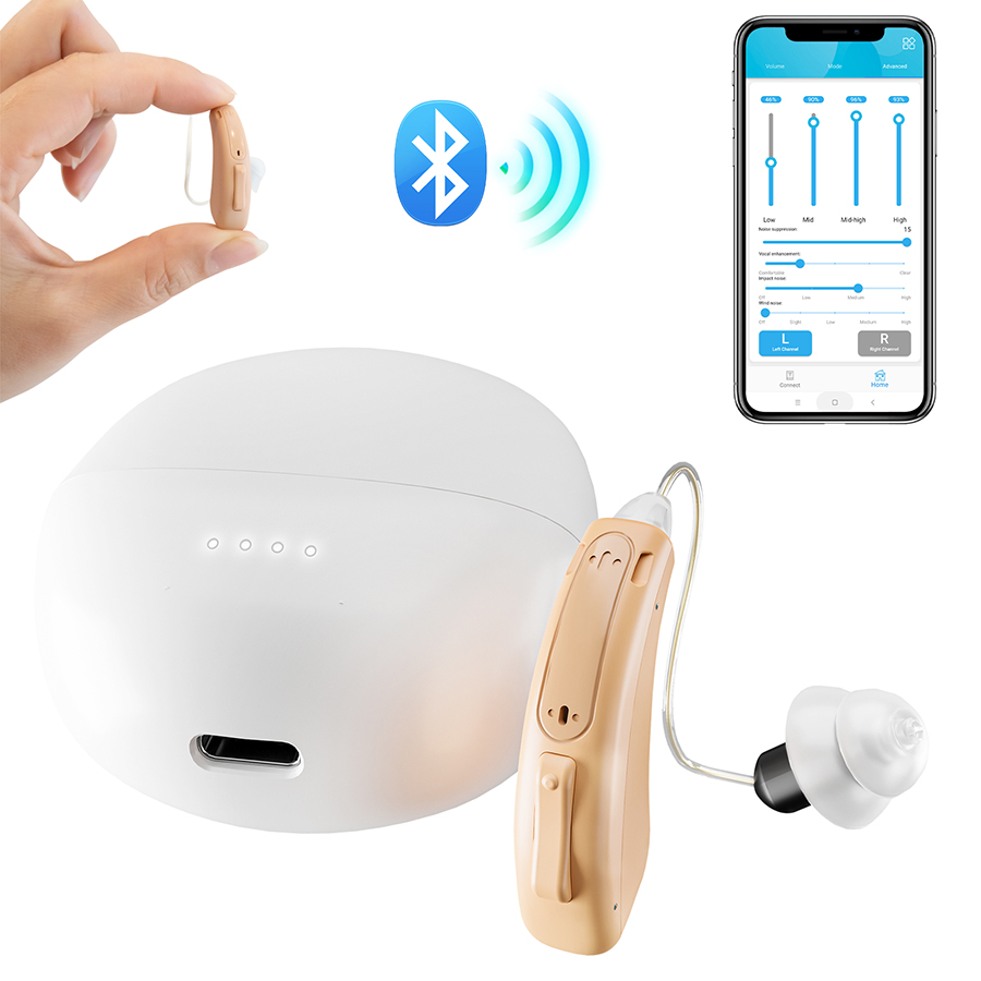 Hearing aid-5118DL